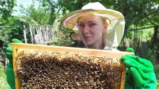 Первый раз в жизни Жена на пасеке!!! Боремся со страхом!