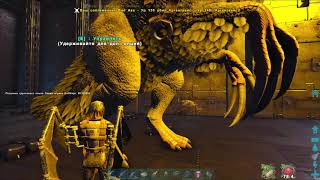 Tribe OZON FUN 24/7 ARK Official PVP (Raid)