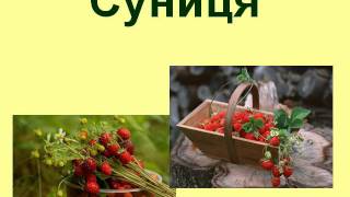 Фрукти та ягоди