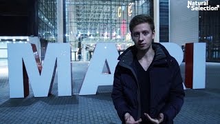 Три главные идеи в пикапе. Natural Selection