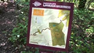 Hike of the Month: Knoxville's Urban Wilderness South Loop Trail