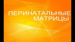 Важно для беременных.  Базовые перинатальные матрицы