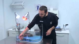 ALIMENTAZIONE TARTARUGA D'ACQUA - Clinica veterinaria borghesiana - Roma