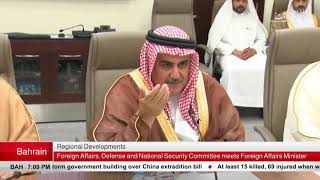 Parliamentary committee, Foreign Affairs Minister hold meeting