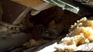 Phoenix Honey Bee Removal from Sofit in home Tempe, AZ.