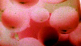 lava trance