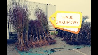 #HAUL /DRZEWKA / ALI EXPRESS /EMPIK/ PEPCO/ ROSSMANN...