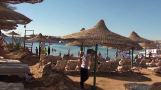 Самая лучшая тройка в Шарм ель шейхе