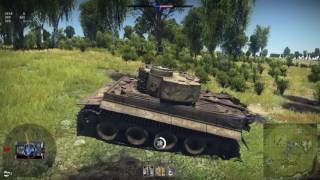 Based Tiger l AAA
