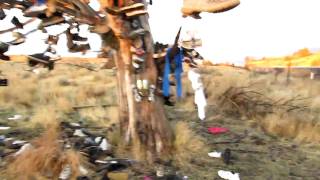 The Shoe Tree - On US97 In Oregon