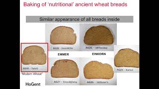 The Nutritional Value of Einkorn, Emmer, Khorasan & Modern Wheat  I  F. Van Boxstael at ICWL18