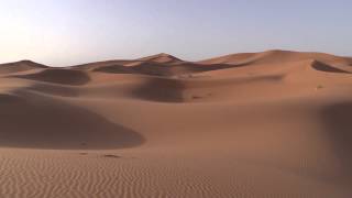 The OiLibya Rally of Morocco 2014_Stage 1_Team HRC