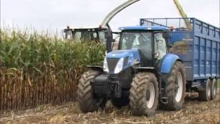 Claas Jaruar 970 cutting maize with Kemper 460 header