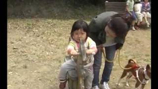 キャンプ場のアスレチックin吉井竜天オートキャンプ場