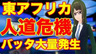東アフリカのバッタ大量発生 “人道危機” 国連が強い懸念