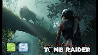 Shadow of the Tomb Raider, 940mx Gameplay Test, Playable ????,Lag Free Game?,fps ??