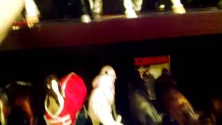 A Conga Tour of my Cleveland Bays!!
