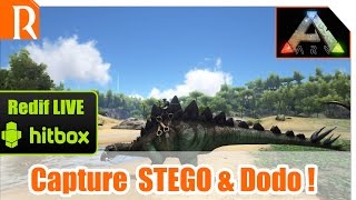 ARK Survival Evolved - Capture du Stego et surtout du DODO !