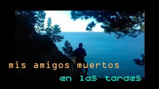 Mis amigos muertos - En las tardes (2009)