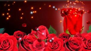 Футаж Розы HD Video Background Roses
