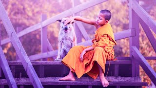 Enhance Deep Positive Energy | Frequency Music 528Hz | Healing Ambient Music | Stress Relief Music