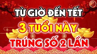 THẦN ĐỒNG TIÊN TRI 3 CON GIÁP TỪ GIỜ ĐẾN TẾT, LỘC TRỜI RƠI XUỐNG, TRÚNG LỚN 100 TỶ, XOÁ SẠCH NỢ NẦN