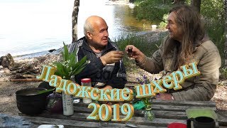 Ладожские шхеры 2019 Июнь. Видео и музыка - Александр Травин арТзаЛ