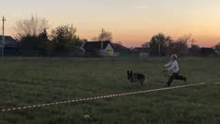 Osten Stern Valensiya
