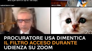 Usa, processo su Zoom: procuratore non riesce a togliere il filtro da gattino