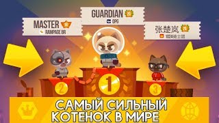 САМЫЙ СИЛЬНЫЙ КОТЁНОК В МИРЕ! Я СКАТИЛСЯ В CATS! - CATS: Crash Arena Turbo Stars