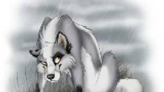 Amazing Wolf Art