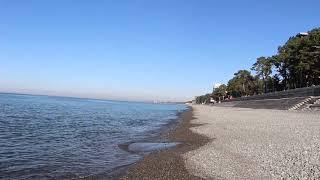 31 12 2020 целебные сосны, солнце, море Кобулети ქობულეთი Аджария Грузия