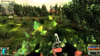 Stalker Тени Чернобыля + ogse 0.9.6.2 r2 + gameplay addon from Jek@n часть 12