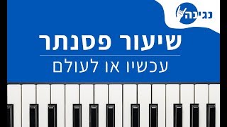 עידן חביב - עכשיו או לעולם - לימוד פסנתר - תווים - אקורדים