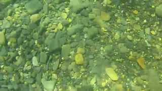 Лиманчик 2014. Подводные съемки. Дети ныряют.