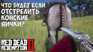 ЧТО БУДЕТ ЕСЛИ ОТСТРЕЛИТЬ ПРИЧИНДАЛЫ КОНЮ - RDR 2