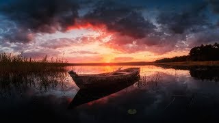 ТЕСТИРУЕМ МЕДОВОЕ ТЕСТО НА оз. Медвежьем - Русская Рыбалка 4.