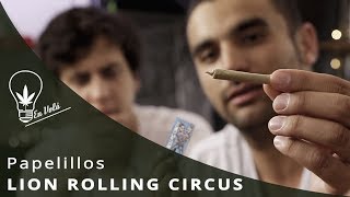 RESEÑA EN VOLÁ: LION ROLLING CIRCUS