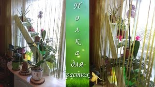 Крутая полочка для орхидей и не только ♥