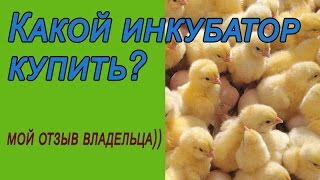 Обзор инкубаторов.  Какой инкубатор купить?