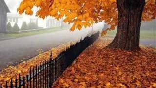 Arif Nazım - Gizli Bir Hasret - Türkçe Şiir - Turkish Poem