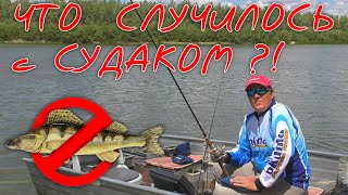 Судак с Лодки на Джиг. Судак ест НО.... (продолжение) | vovabeer