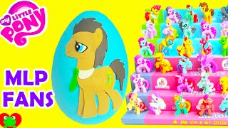 My Little Pony Dr  Whooves Play Doh Surprise Egg Wave 11 and Wave 12