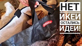 Распаковка посылки из Латвии. Кошка Морошка и банка морошки
