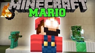 Minecraft: MARIO (JUMP & USE POWER UPS IN EPIC LEVELS!) Mini-Game