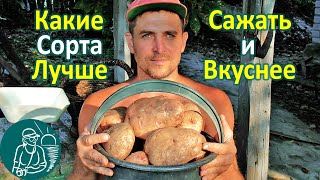 Какие сорта картофеля лучше купить на посадку или для еды ???? Выращивание картофеля Опыт Гордеевых