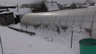 Нас завалило снегом! Я продолжаю готовить теплицу к ранней высадке томатов. Чем буду укрывать томаты