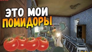 ТОП 2 И Я СТАЛ АРМЯНИНОМ! НОВЫЙ ЧЕЛЛЕНДЖ ПРО АРМЯНА! ТУПОЕ ОРУЖИЕ - ЭТО ПИСТОЛЕТ - Last Man Standing