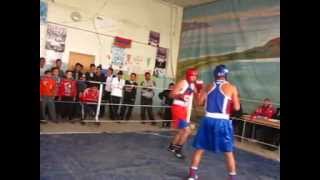 box Martuni Arsen Zaxaryan-Erik Harteyan Gexarquniqi marz menamart-2.