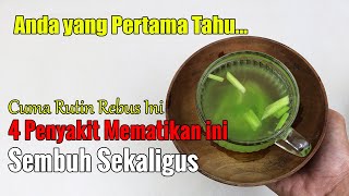 BARU TERUNGKAP... CUMA RUTIN REBUS DAUN BAWANG, SEMUA GANGGUAN PADA TUBUH MUSNAH